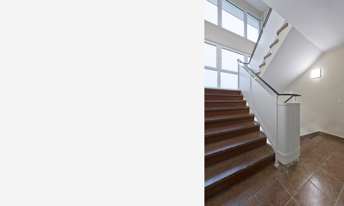 Copyright Michael Miltzow 2020 1499.jpg